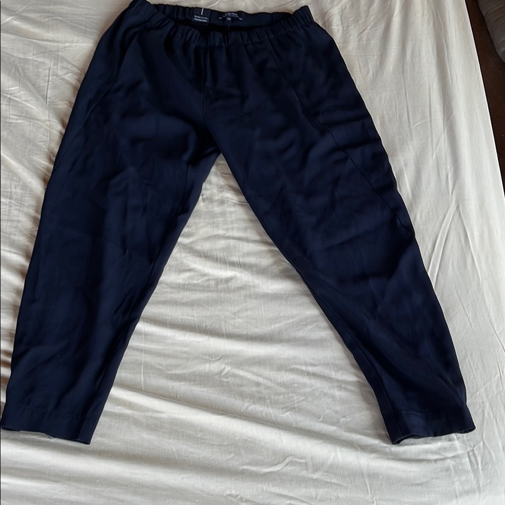 Babaton Black dress pants